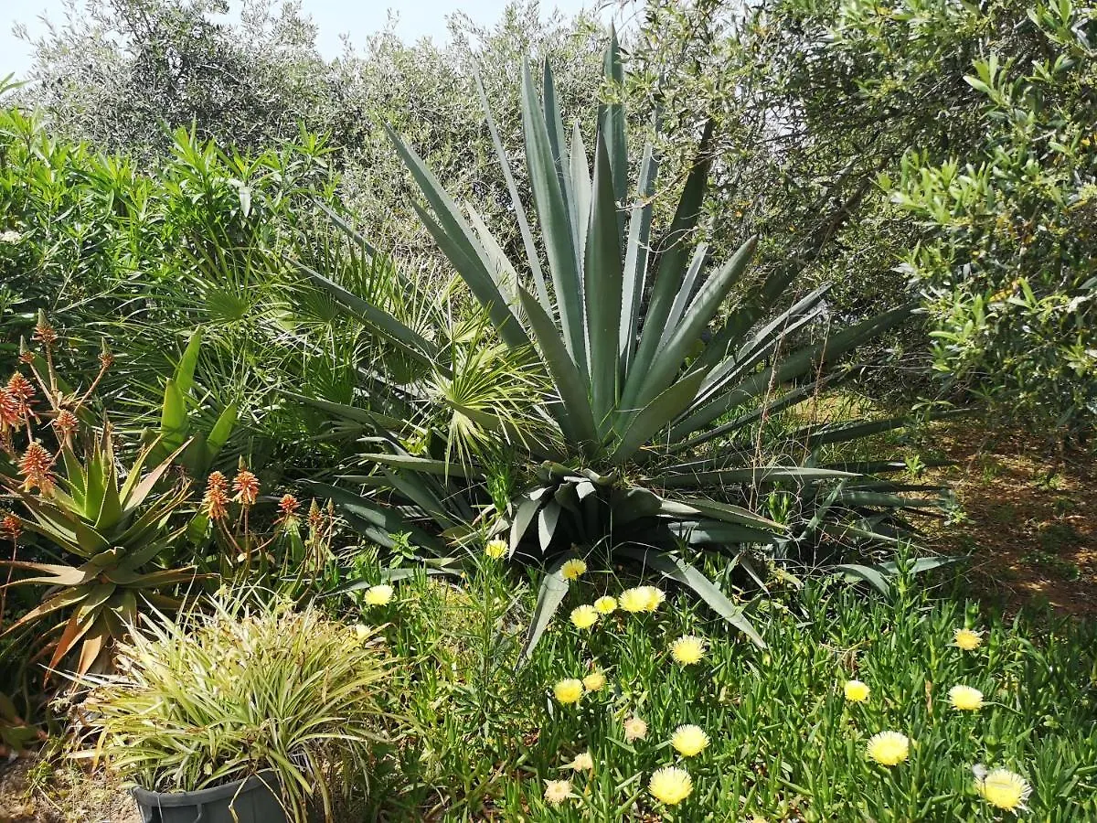 Casa de Férias Casa Nonna Vila Balestrate